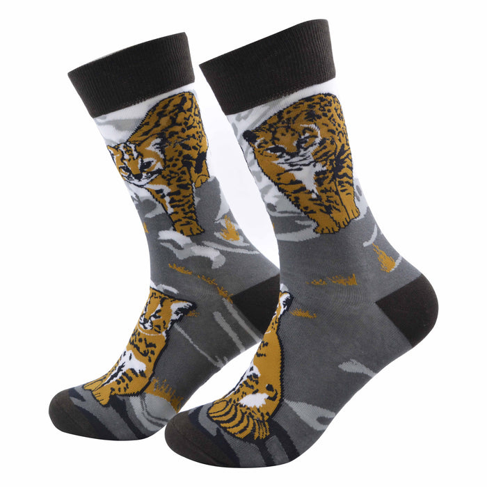 pack lector calcetines, infusor más infusión