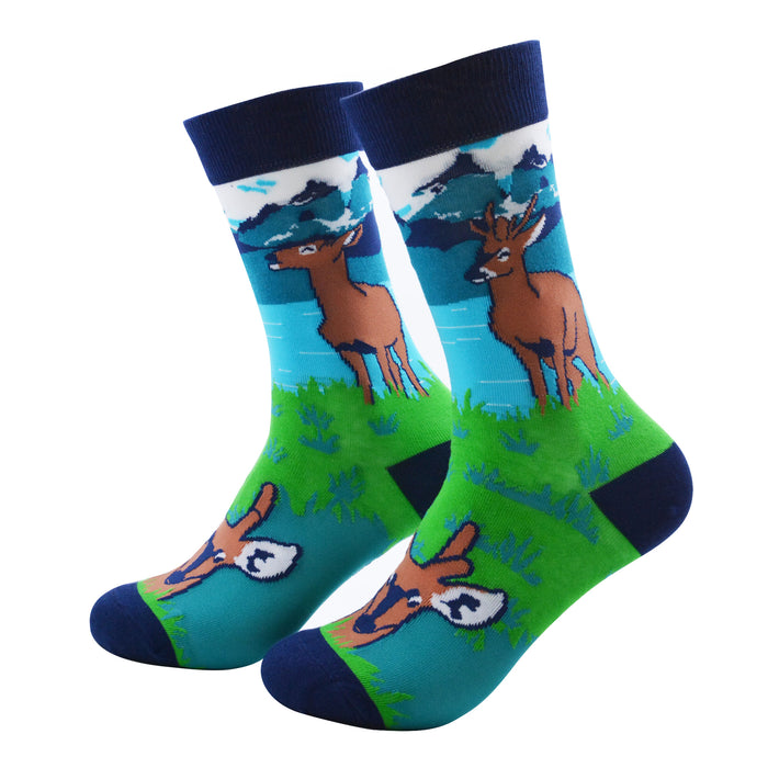 pack lector calcetines, infusor más infusión