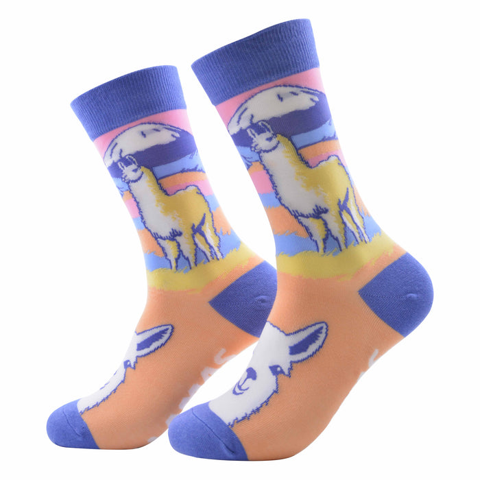 pack lector calcetines, infusor más infusión