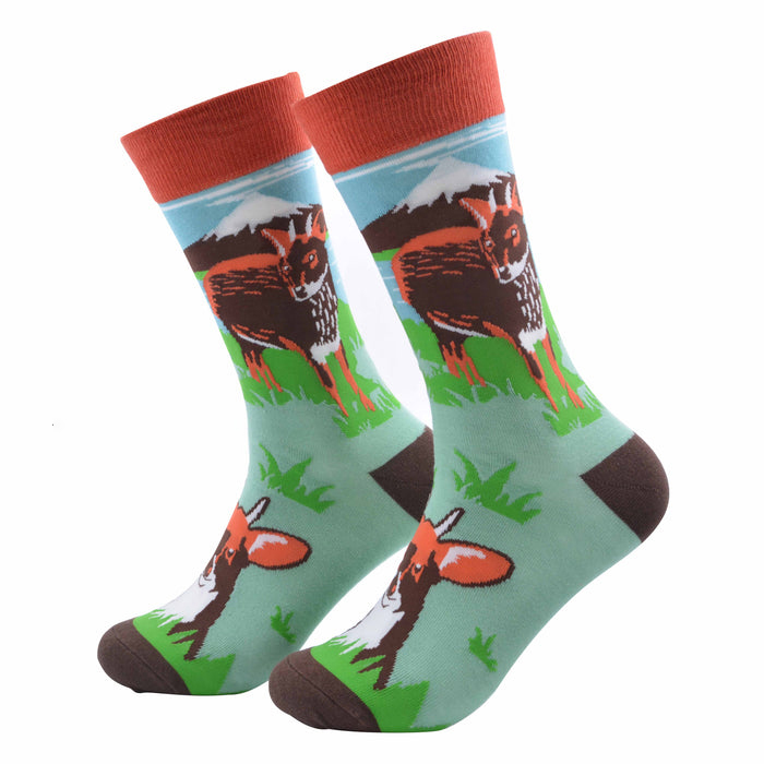 pack lector calcetines, infusor más infusión