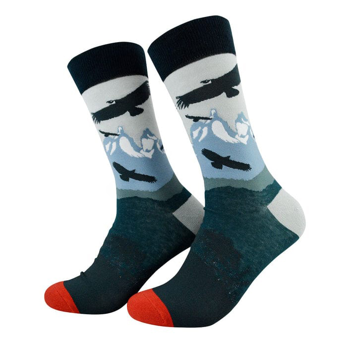 pack lector calcetines, infusor más infusión