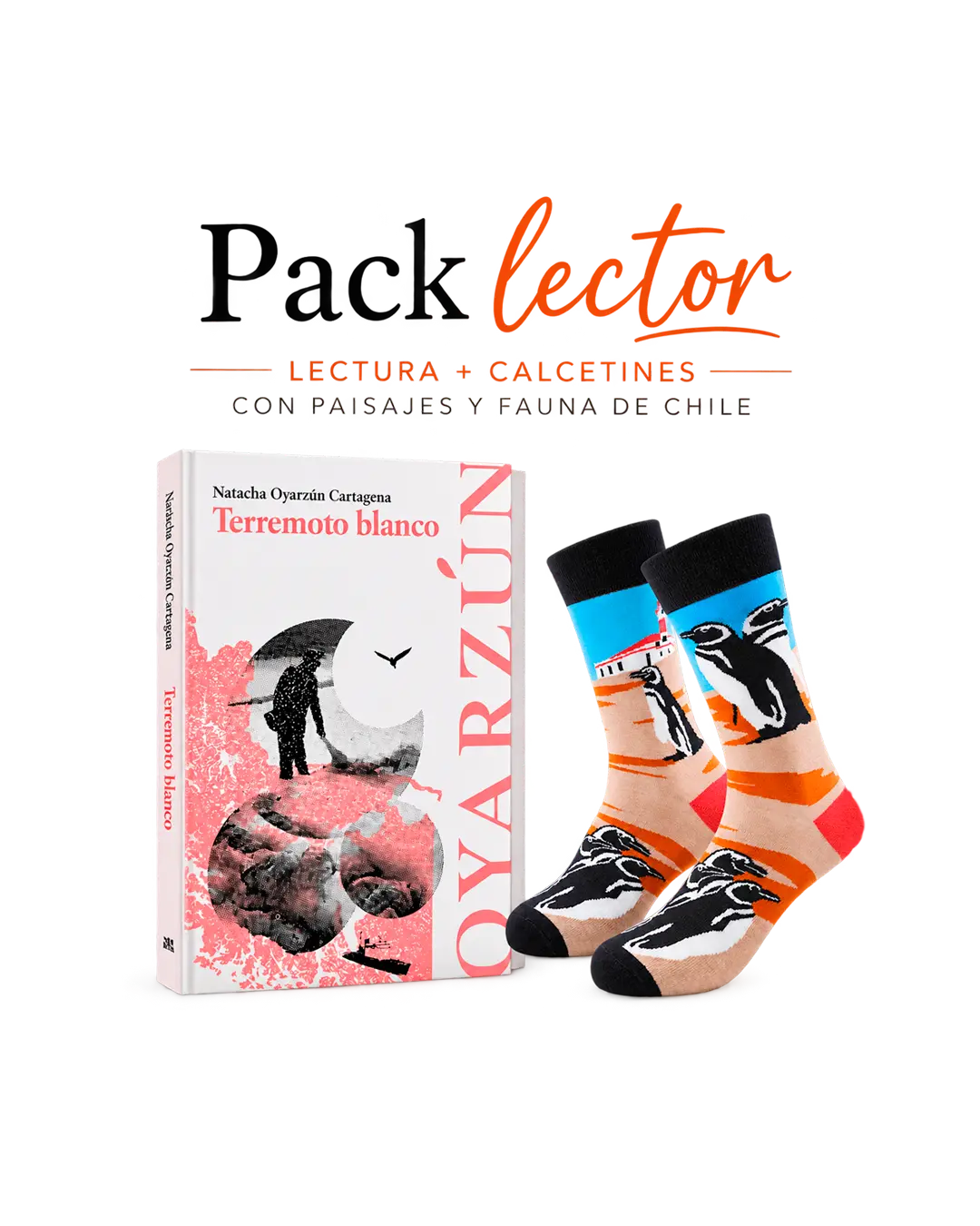 pack lector calcetines más novela